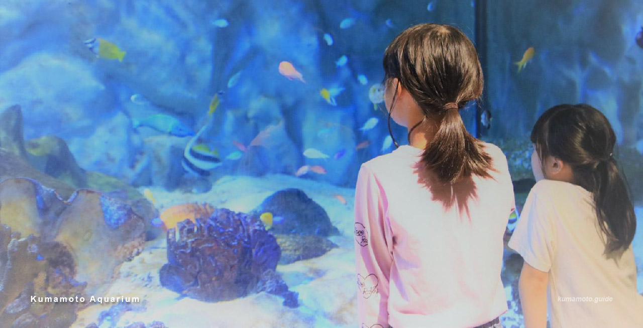 KumamotoAquarium
