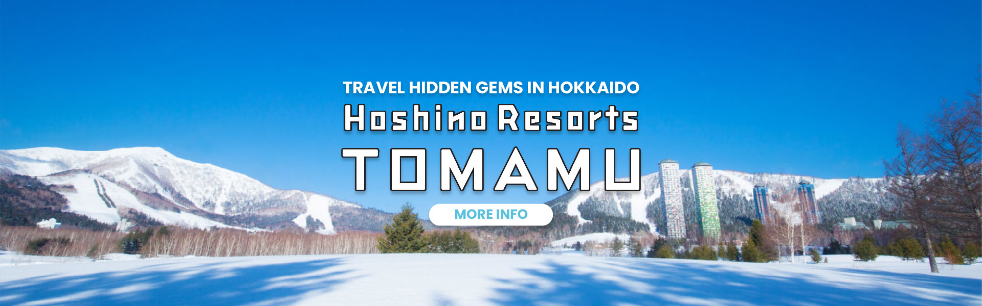 Tomamu Banner W Button