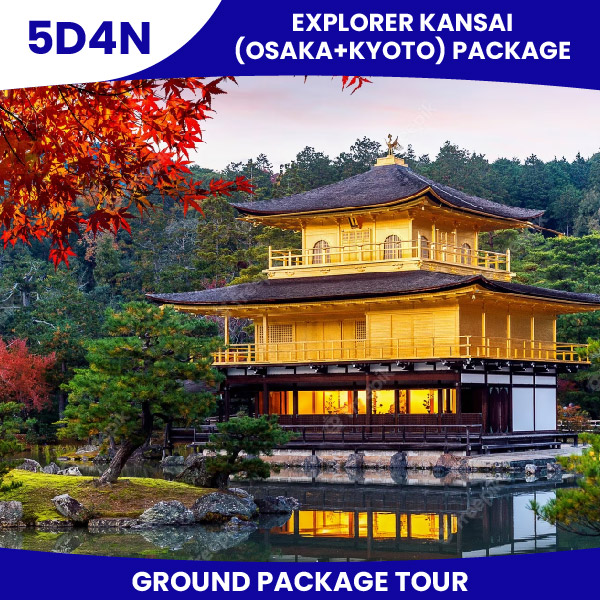 Web Packages 04