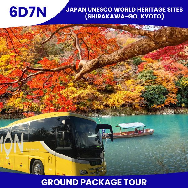 Web Packages 07