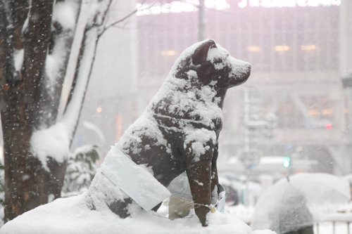 HachikoStatueWinter
