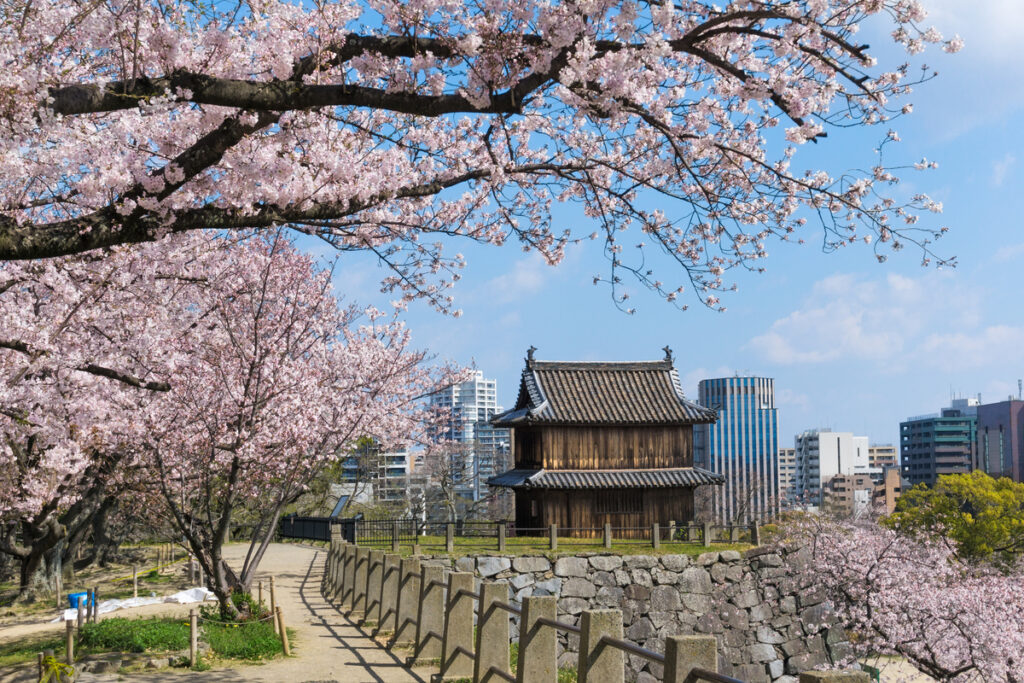 MaizuruPark
