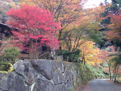 YabakeiIti