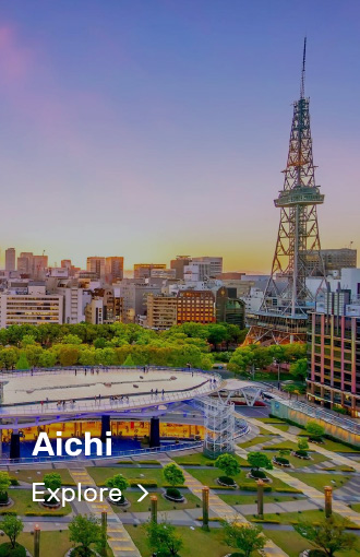 330x510 Aichi