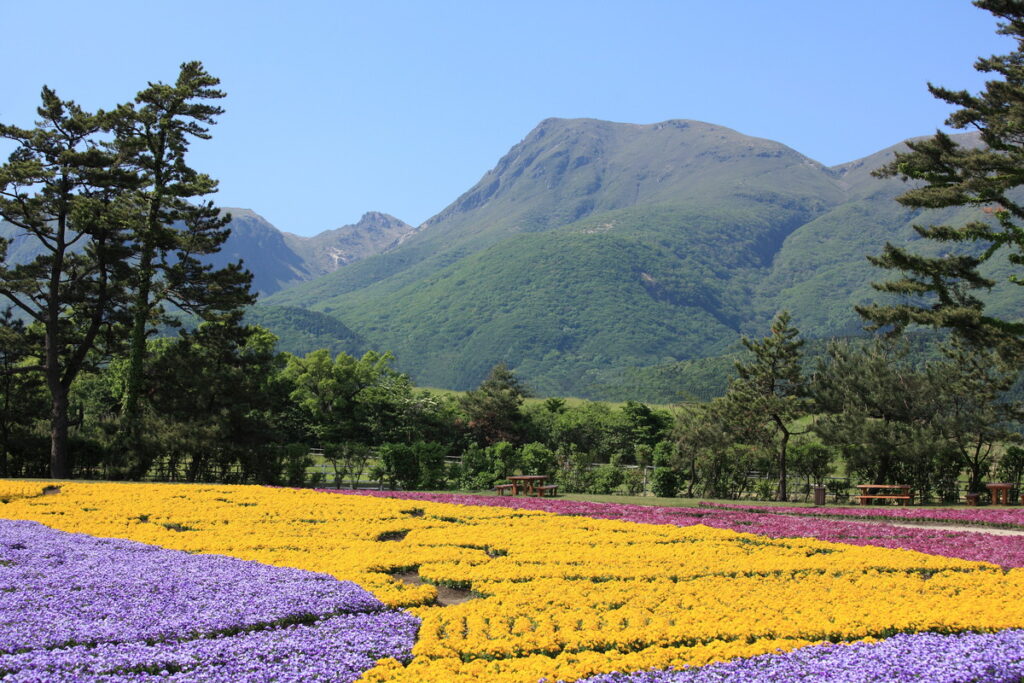 KujuFlowerPark