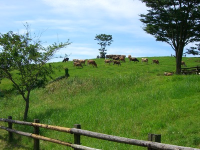 TakachihoFarmIti