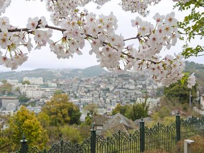 Glover Garden Sakura 400x300 1