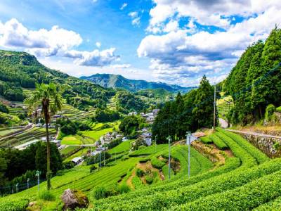 Ureshino Tea Village 400x300 1