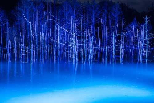 Blue Pond Night 500x333 1