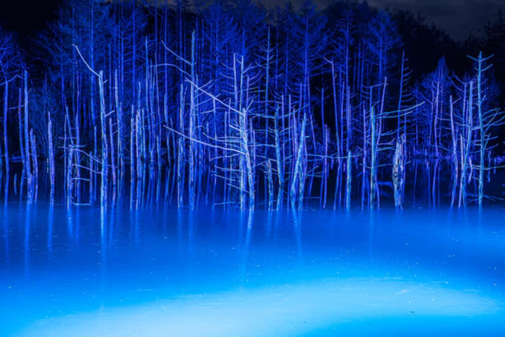 Light Up Blue Pond