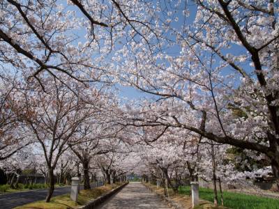 Omura Park 400x300 1