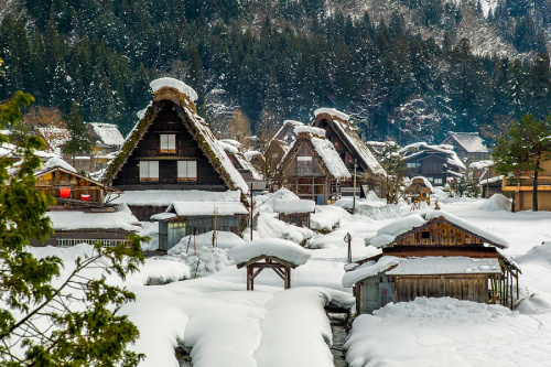 Shirakawago2 500x333 1
