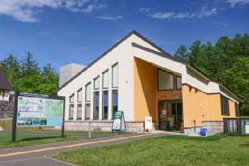 Shirokane Birke 500x333 1