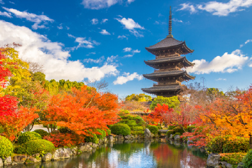 Yasaka Pagoda Autumn 500x333 1