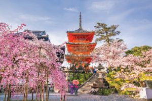 400x300 KiyomizuderaSakuraIti Qtb0ogwwbst9kouw3ajjw38w5fxcsoejljjb56wnv4
