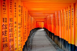 FushimiInariIti Qtcrsvmiovkhj822tjxzunlwc3ihi5piox5yj5l1ao