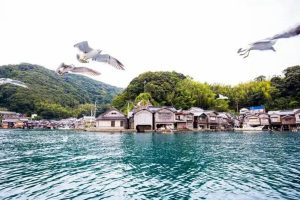 Ine Bay2 Resized 1200x800 R733bwpmty3s504euarzkmlwff9zcs91ppvvkzpi34