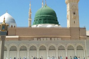 KobeMosqueIti KobeMosqueIti R4dhq1q0vf0rptpasd015wjbcfp8hg9sb1a76fhhow