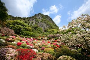 Mifuneyama Rakuen Sakura 1200x800 1 R9xrhgfulpbzmsssuvvoj0crqvudmxdfz8fd3c0w5s