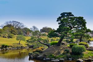 SuizenjiGardenIti SuizenjiGardenIti Qsvh1huuip4hj9gm9nhrj3x2w5snn4bbna3v6n0xxs