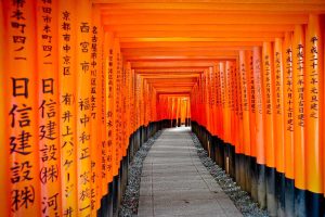 Fushimi Inari 1200x800 1 Rav98zzyqgzjpex6aj9b3rmoirl647b7mmiylx872o