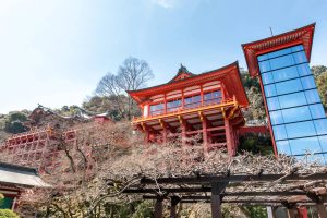 Yutoku Inari Shrine 1200x800 1 R9xqdtkuf72q2qdear40e0f1zz772e0wj24alasij4